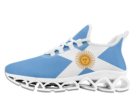 Custom Argentina 2026 World Cup Sneakers DIY Country Flag Running Shoes