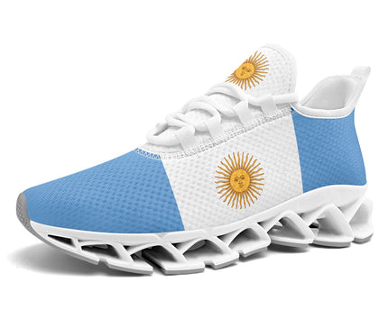 Custom Argentina 2026 World Cup Sneakers DIY Country Flag Running Shoes