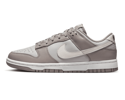 Men's Dunk Low Moon Fossil Shoes