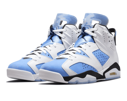 Men's Air Jordan 6 SE UNC Shoes