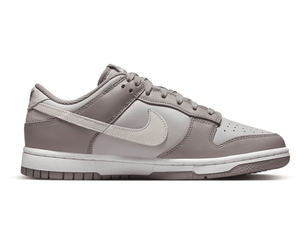 Men's Dunk Low Moon Fossil Shoes
