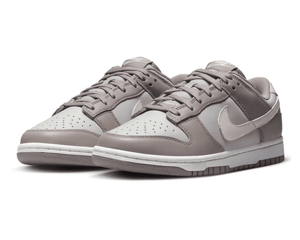 Men's Dunk Low Moon Fossil Shoes