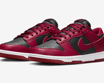 Men's Dunk Low Next Nature Team Red Black Shoes