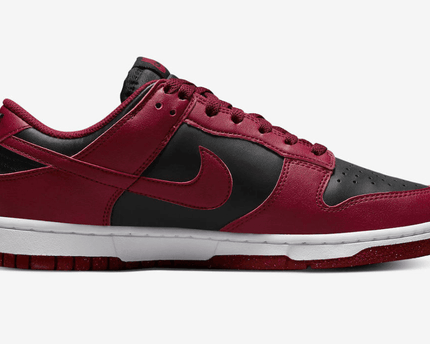 Men's Dunk Low Next Nature Team Red Black Shoes