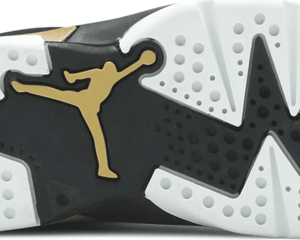 Men's Air Jordan 6 SE PS Defining Moments Shoes