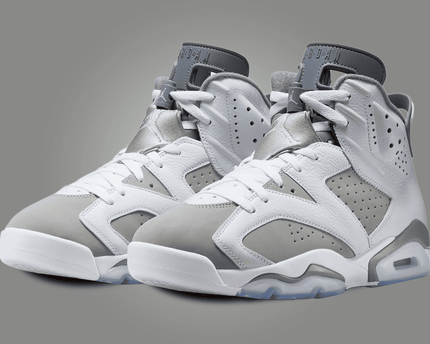 Men's Air Jordan 6 Retro Cool Grey Shoes