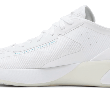 Men's Jordan Luka 1 Legend Of 7 Shoes