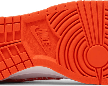 Men's SB Dunk Low Orange Paisley Shoes