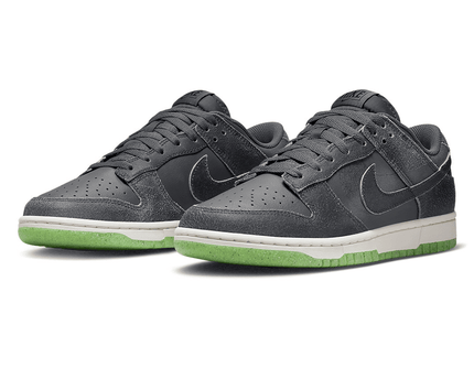 Men's SB Dunk Low Iron Grey Shoes