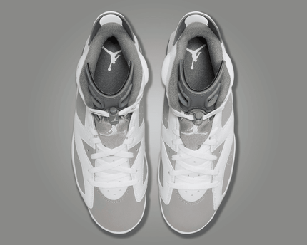 Men's Air Jordan 6 Retro Cool Grey Shoes