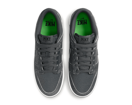 Men's SB Dunk Low Iron Grey Shoes