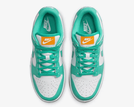 Men's SB Dunk Low Turquoise And Orange Shoes