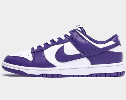 Men's SB Dunk Low Court Purple Shoes