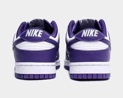 Men's SB Dunk Low Court Purple Shoes
