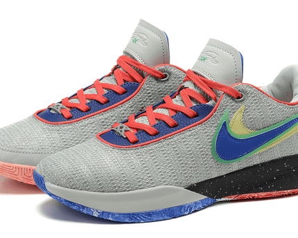 Men's LeBron 20 Nike Lifer Shoes