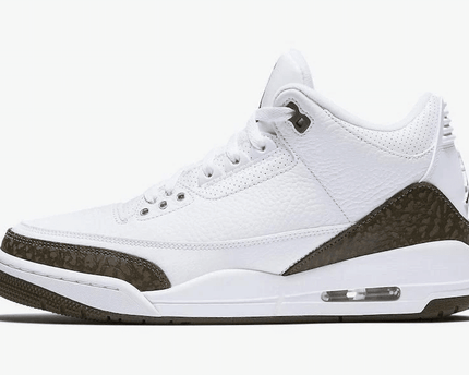 Men's Air Jordan 3 Mocha Shoes