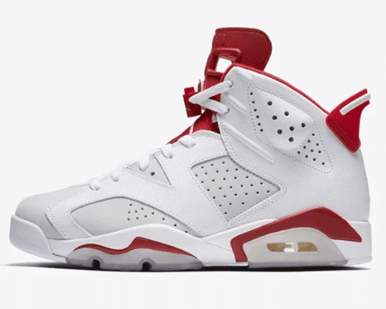 Men's Air Jordan 6 Alternate 91 Shoes
