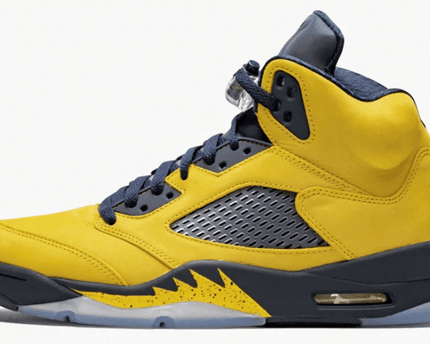 Men's Air Jordan 5 Michigan Shoes