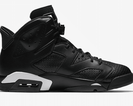 Men's Air Jordan 6 Black Cat Shoes