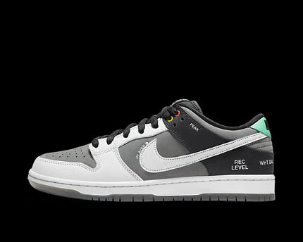 Men's SB Dunk Low Pro Iso VX1000 Camcorder Shoes