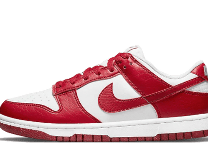 Men's SB Dunk Low Gym Red Shoes
