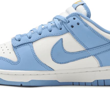 Men's SB Dunk Low Coast Shoes