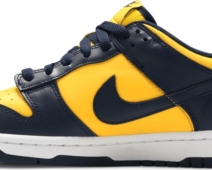 Men's SB Dunk Low GS Michigan Shoes