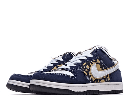 Men's SB Dunk Low x Dior Shoes