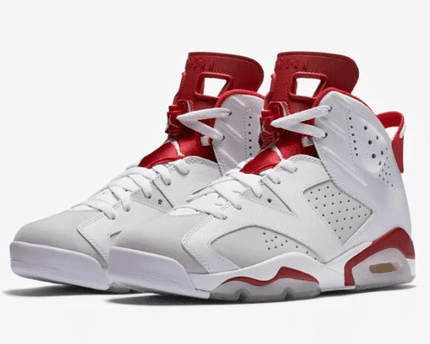Men's Air Jordan 6 Alternate 91 Shoes