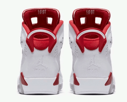 Men's Air Jordan 6 Alternate 91 Shoes