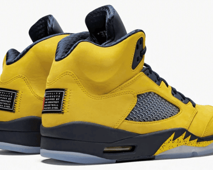 Men's Air Jordan 5 Michigan Shoes