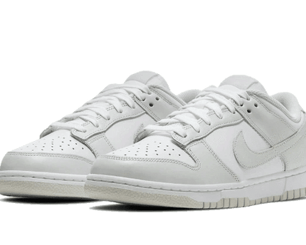 Men's SB Dunk Low Photon Dust Shoes