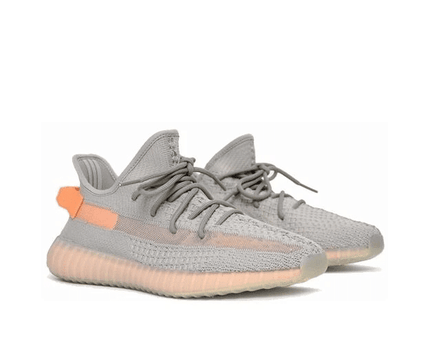 Men's Yeezy Boost 350 V2 True Form Shoes