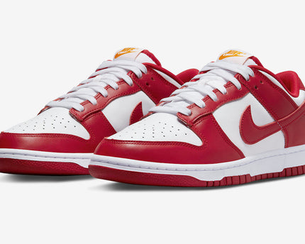 Men's SB Dunk Low Gym Red Shoes