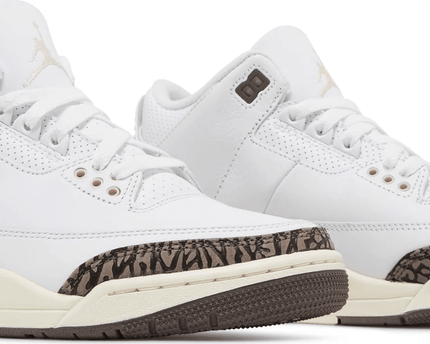 Men's Air Jordan 3 Retro Neapolitan Shoes
