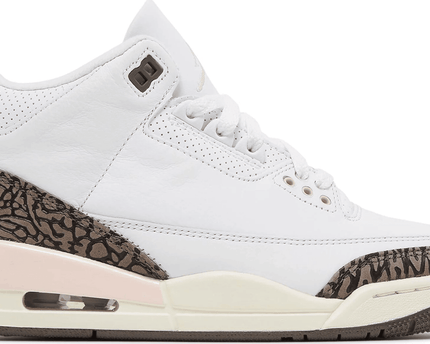 Men's Air Jordan 3 Retro Neapolitan Shoes