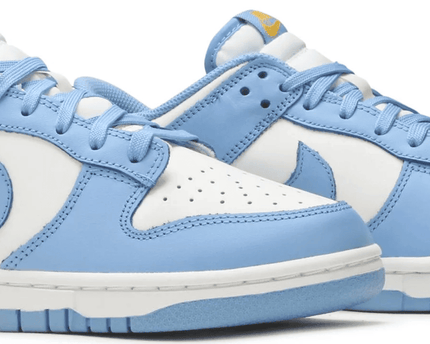 Men's SB Dunk Low Coast Shoes