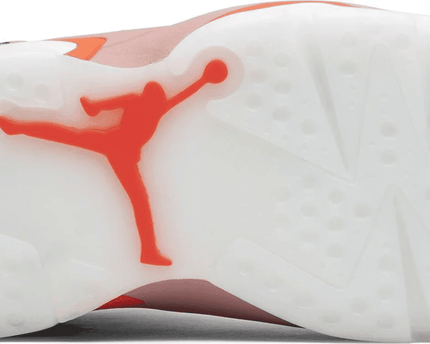 Men's Air Jordan 6 Retro x Aleali May Shoes