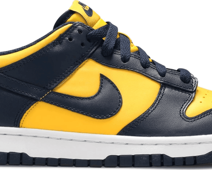 Men's SB Dunk Low GS Michigan Shoes