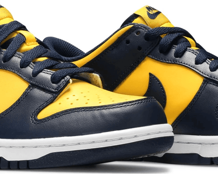 Men's SB Dunk Low GS Michigan Shoes