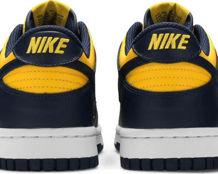 Men's SB Dunk Low GS Michigan Shoes