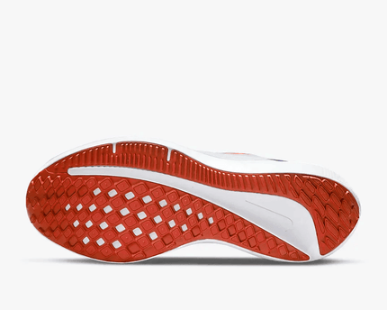 Men's Air Zoom Winflo 9 Grey Concord Shoes
