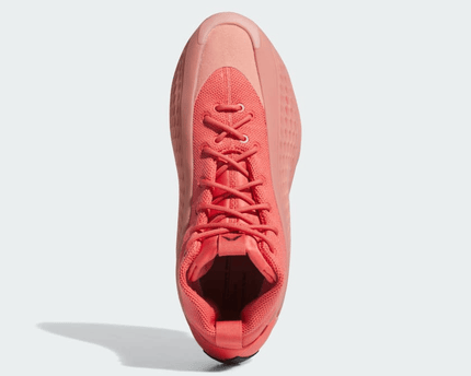 Men's AE 1 Wonder Clay Shoes