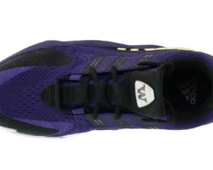 Men's adidas Originals Crazy BYW 2.0 Ncaa 'Purple Shoes