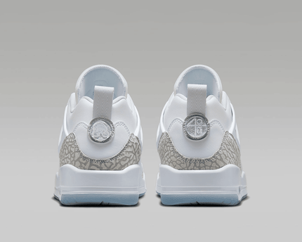 Men's Air Jordan Spizike Low Metallic Silver Shoes