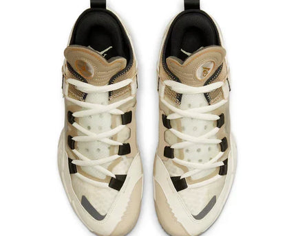 Men's Air Jordan Why Not Zer0.5 Family Shoes