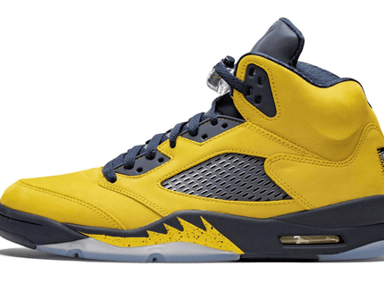Men's Air Jordan 5 Michigan Shoes