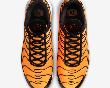 Men's Nike Air Max Plus G Bright Ceramic Shoes
