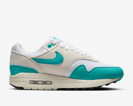 Men's Nike Air Max 1 Dusty Cactus Shoes