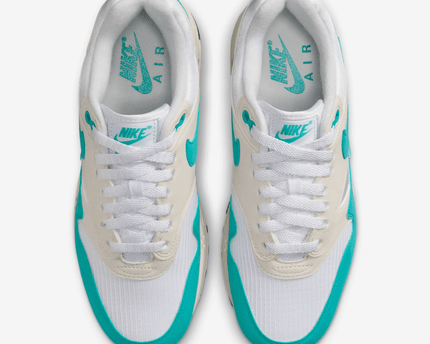 Men's Nike Air Max 1 Dusty Cactus Shoes